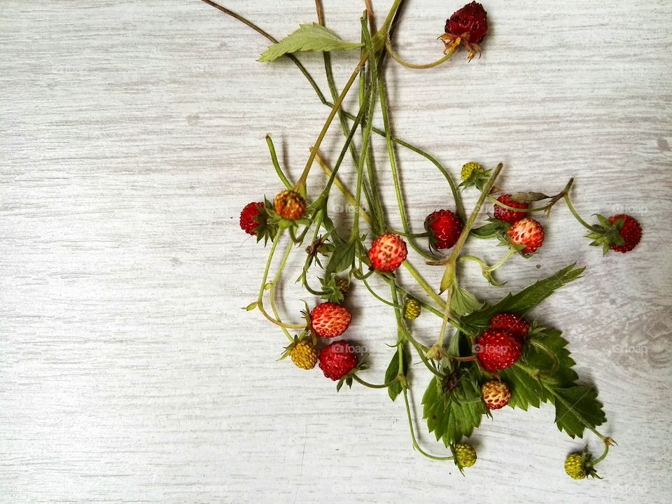 Freshly cut wild strawberries