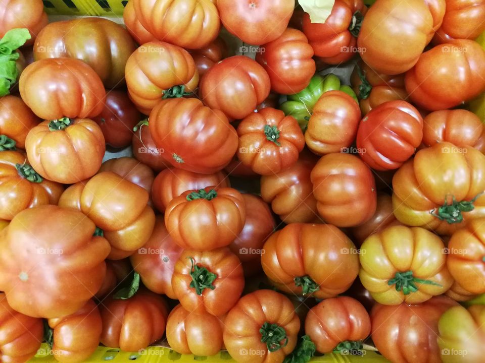 Tomato