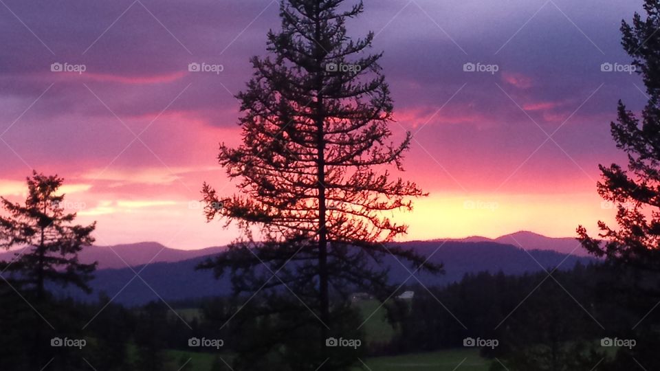 No Person, Tree, Landscape, Outdoors, Sunset
