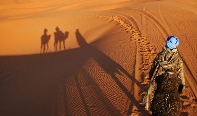 Shadows in the sahara