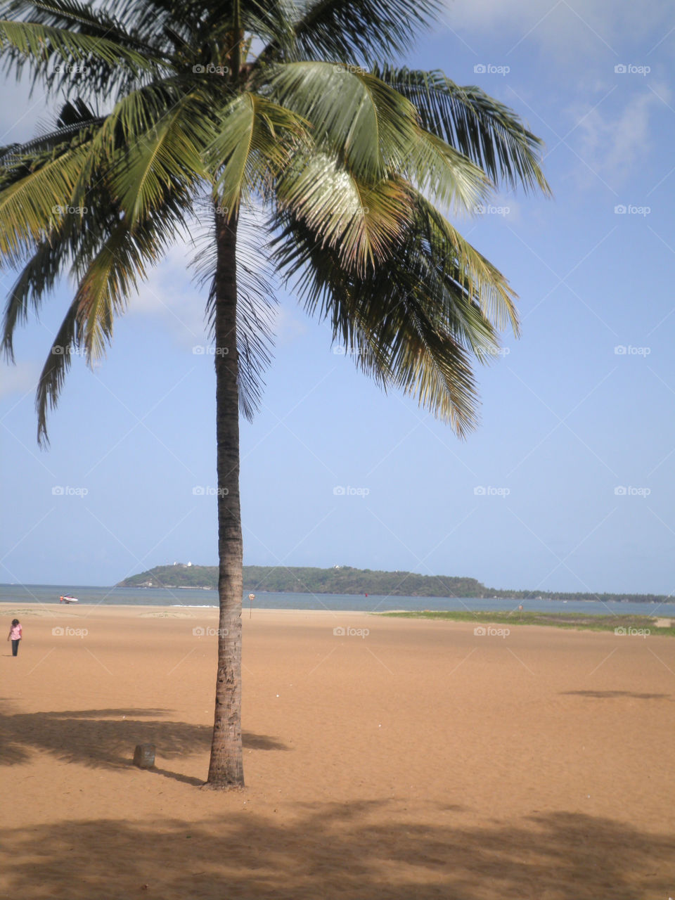 beach tree sand day by gaurav2186