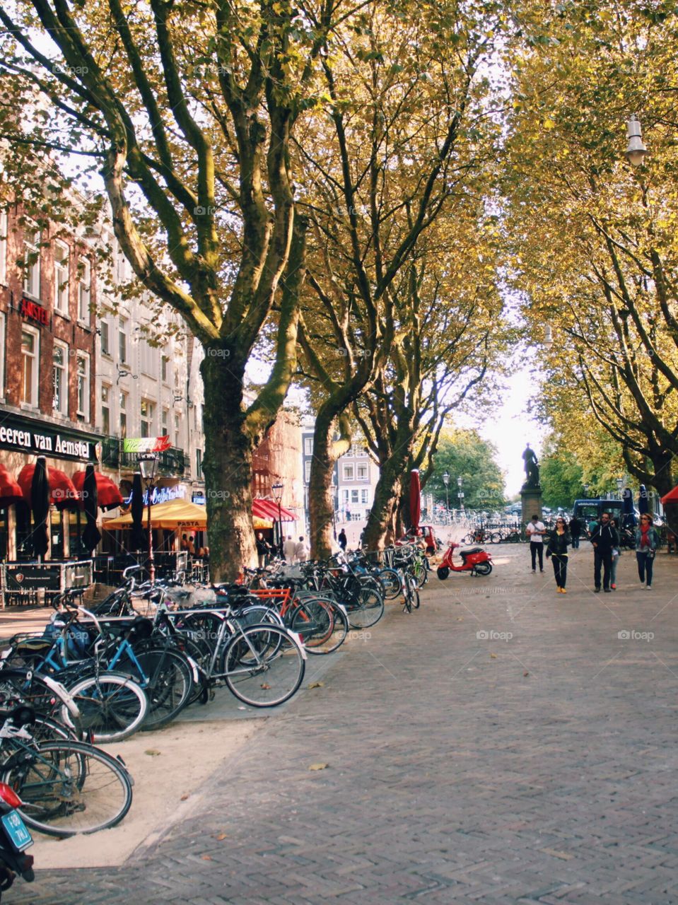 Autumn in Amsterdam 