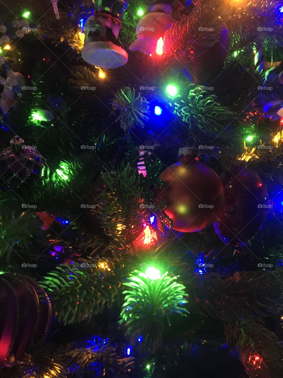 Christmas up close