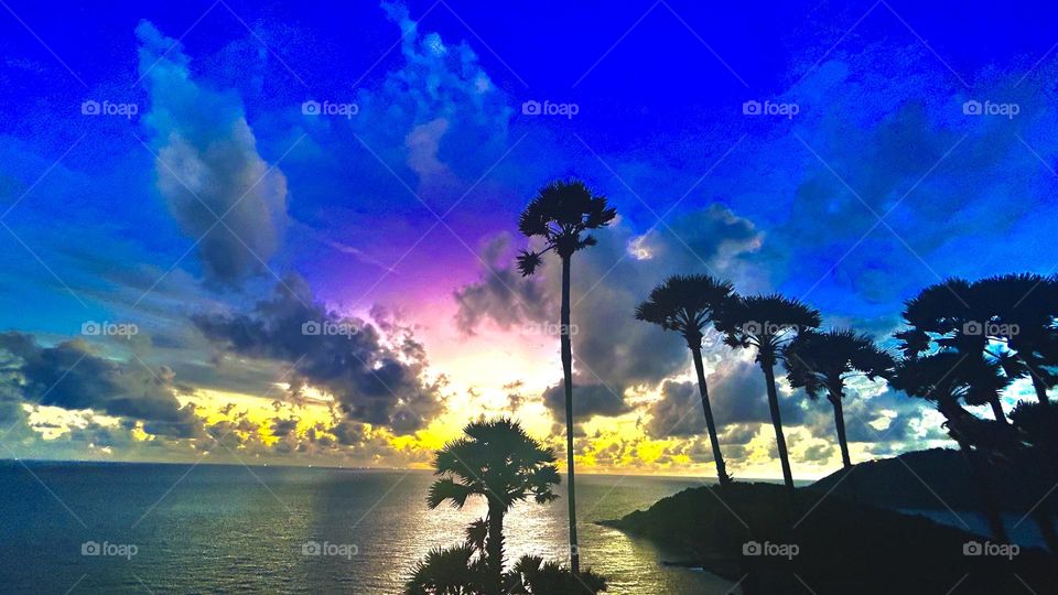 Colourful vista with palms AMR Wozko