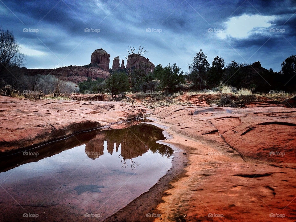 Reflection of Majesty