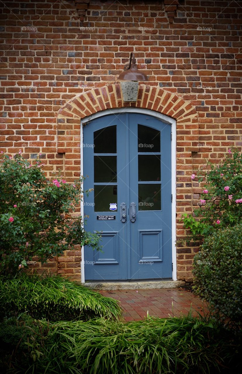 Nice blue doorway on old brick building with rose bushes on each side.