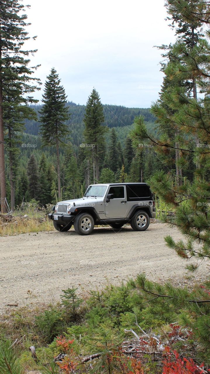 Its Adventure Time With My Car