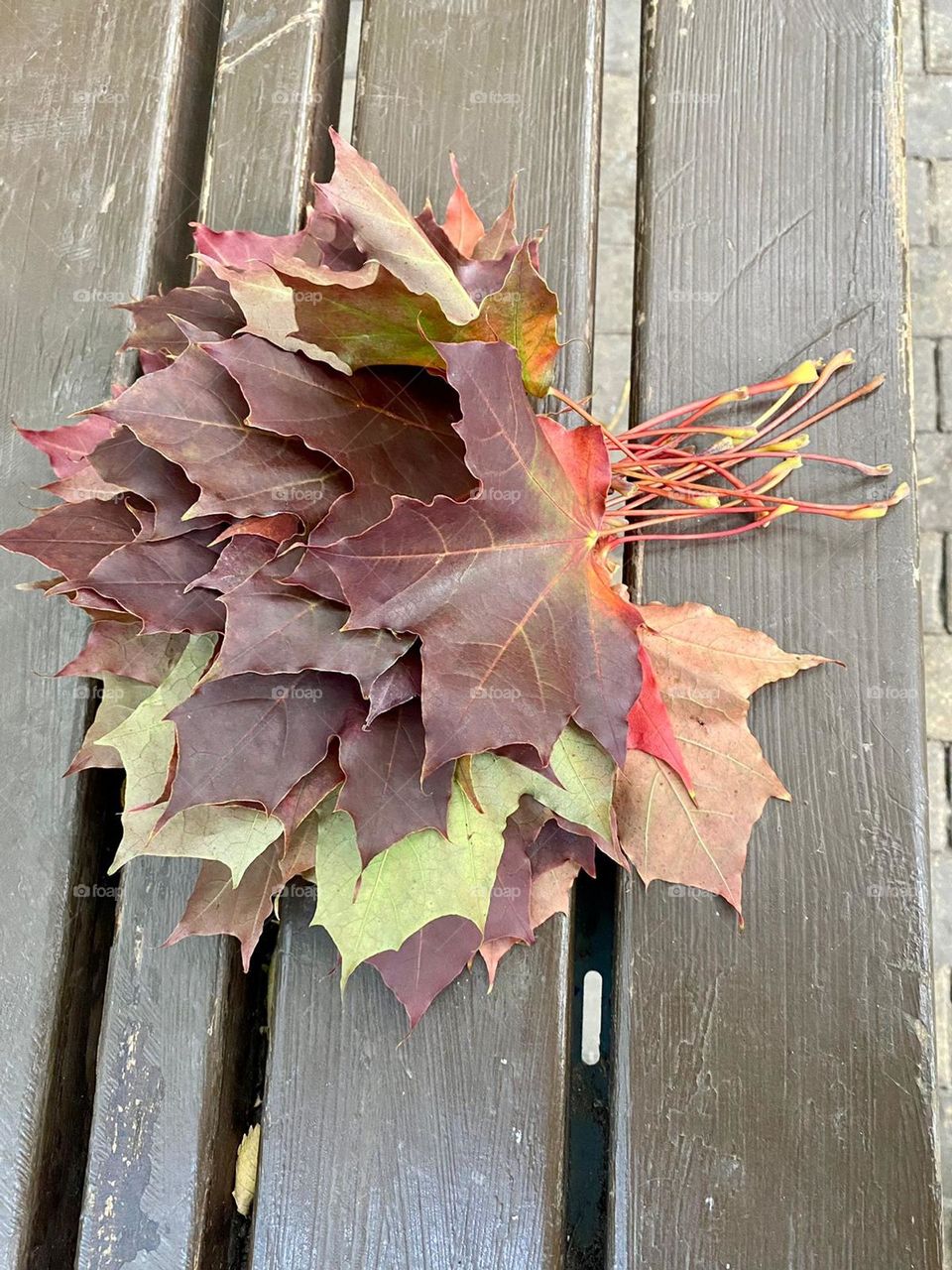 collected bouquet of fallen leaves on a bench