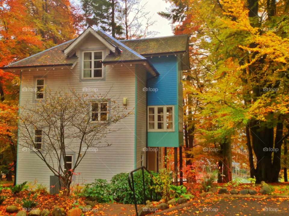 House, Fall, Family, Home, Wood