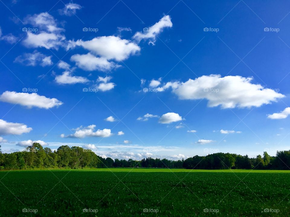 Green fields & Blue Skies