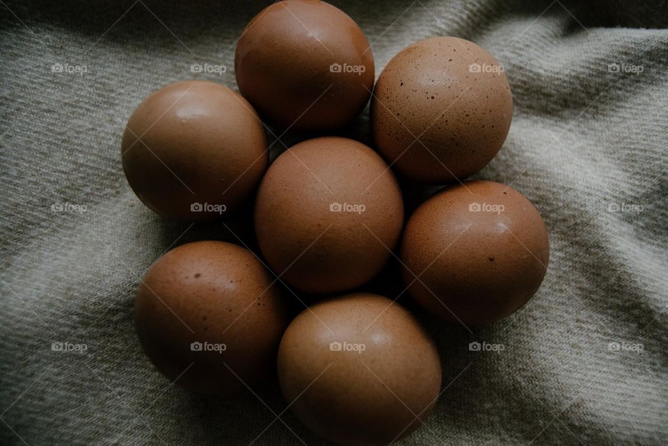 Chicken eggs are one of the most affordable and common food products. Despite the fact that eggs of various birds are used for food, chicken eggs occupy a leading place in terms of frequency of consumption