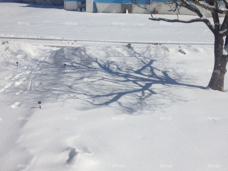 Snow Shadow 