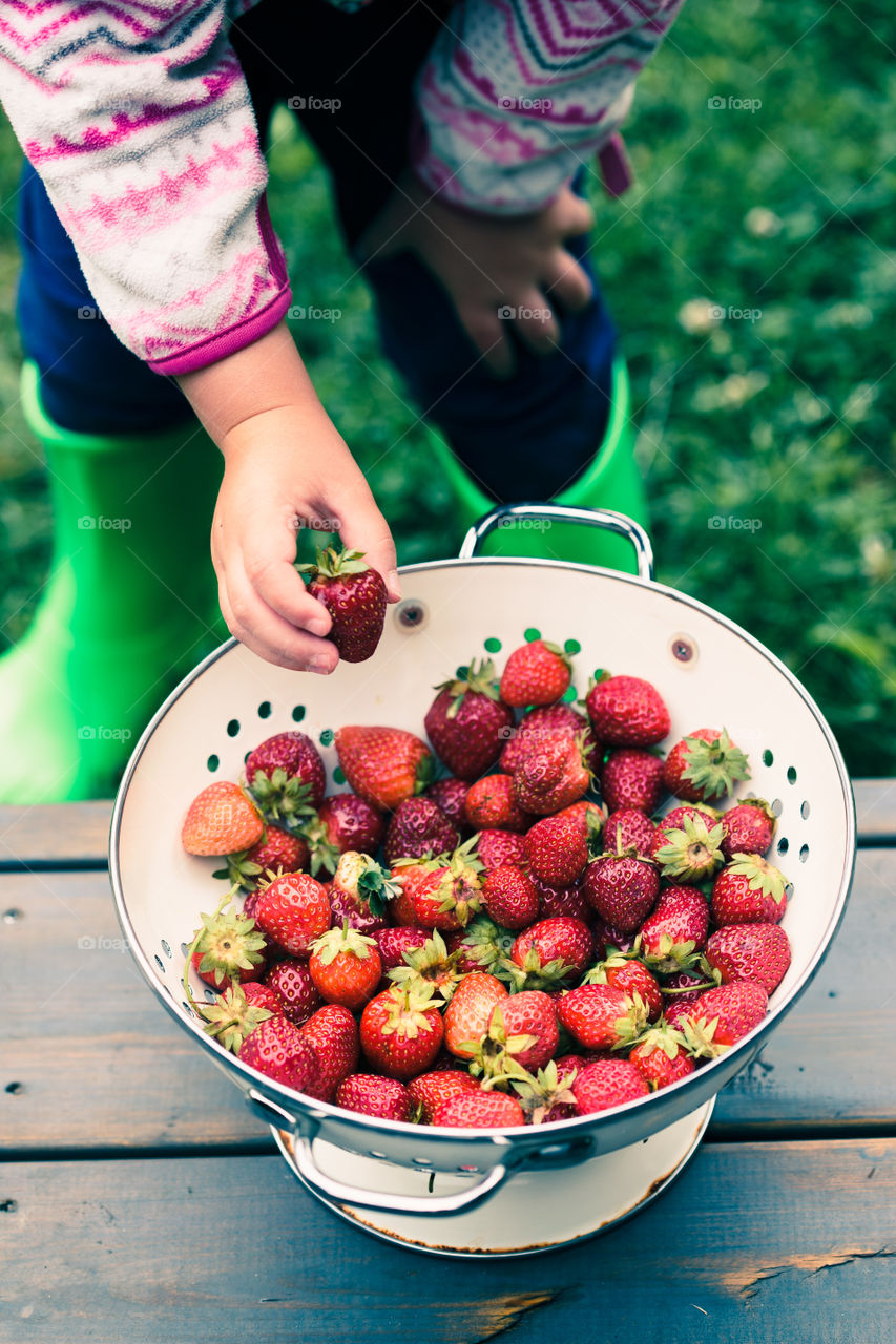 Kid taking a fresh strawberry from bowl of fresh fruits sprinkled raindrops over wooden table