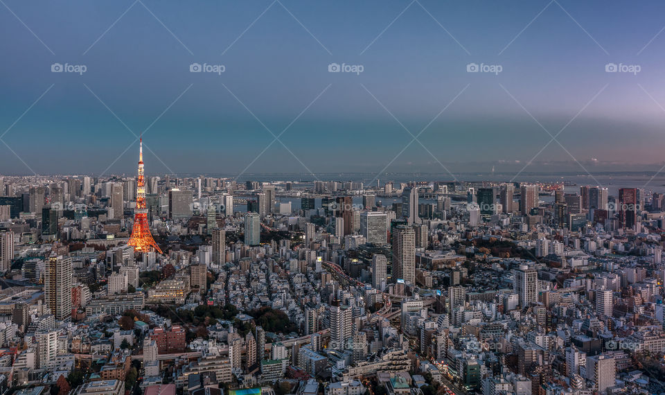 Tokyo tower overlooking the city at sunset