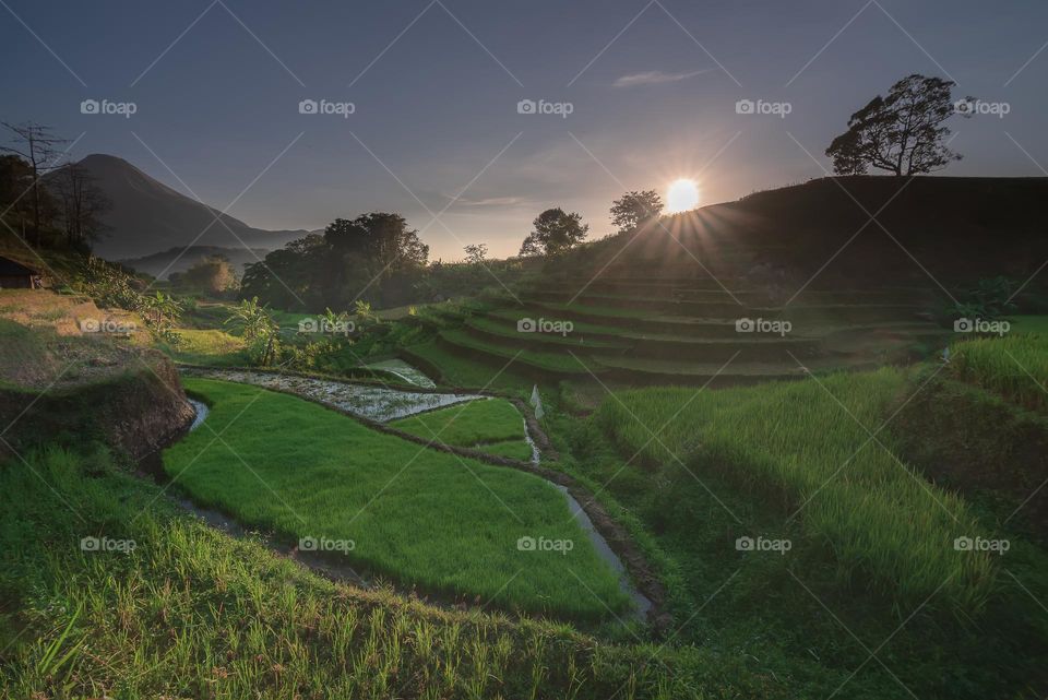 sunrise Selotapak Terraces