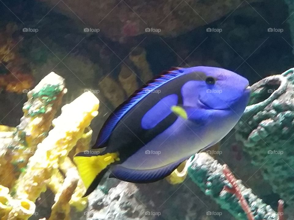 Dori at the zoo