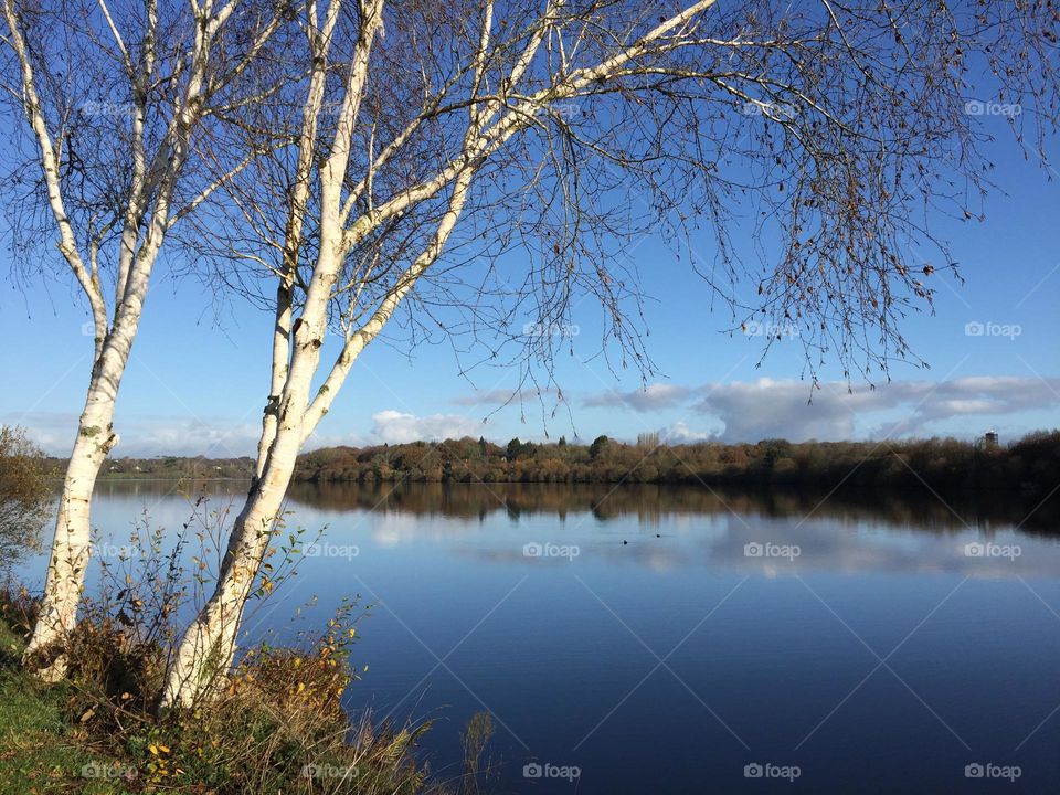 Best of 2021: Nature 