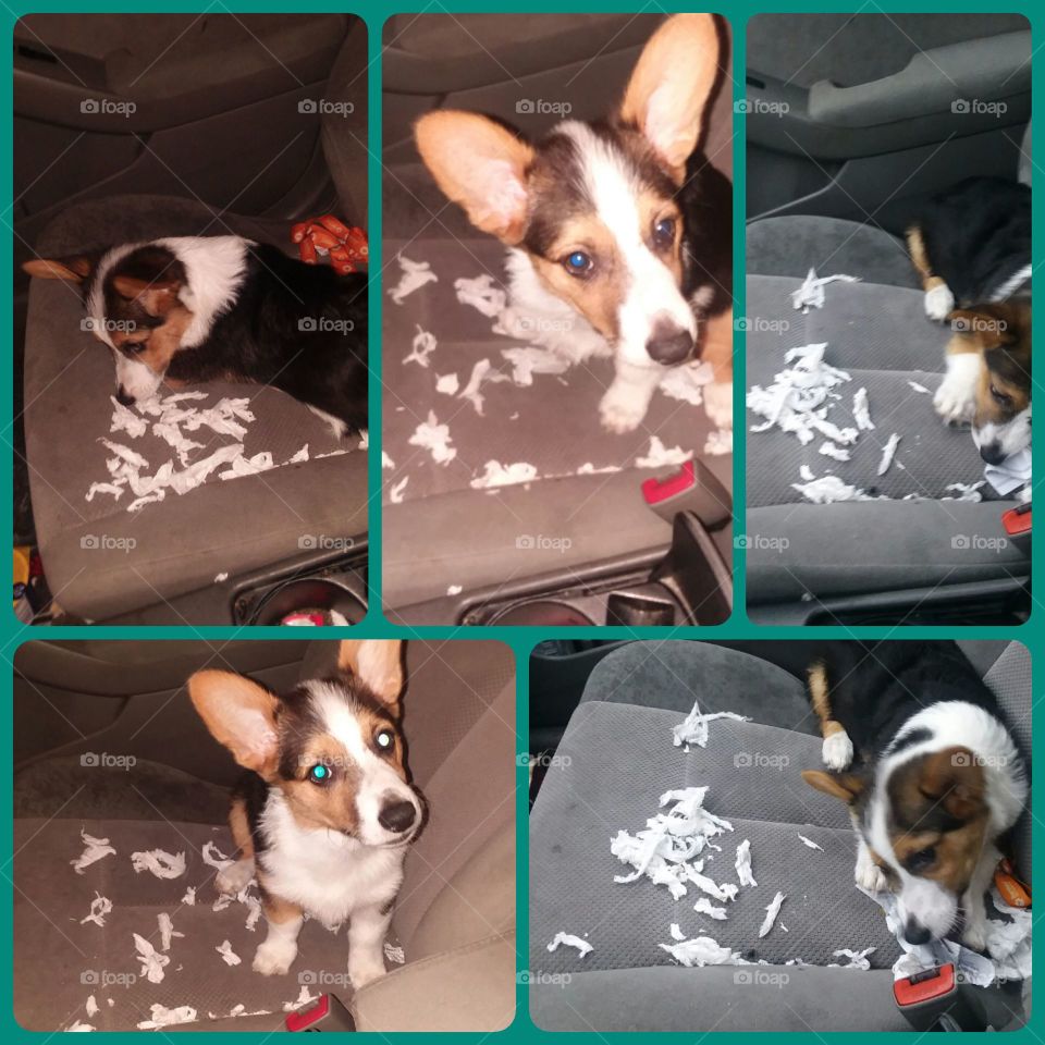 What??  OHHH,....this??!?  Yeah, I didn't do this.  I really don't know how this happened!!