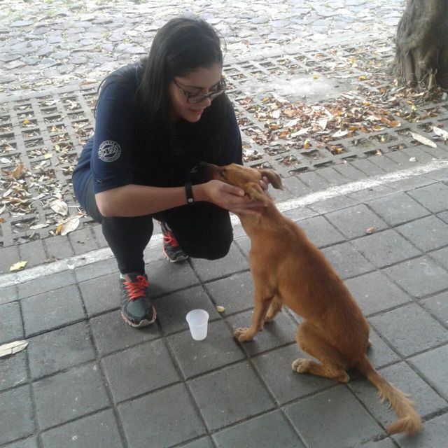 carinho