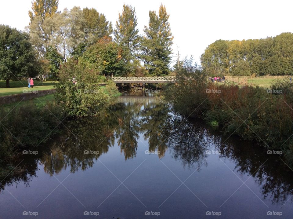 Reflection of a bridge and trees in a river