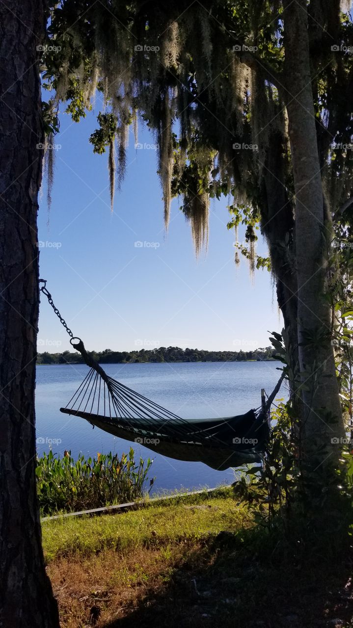 Hanging Hammock by a Beautiful Lake