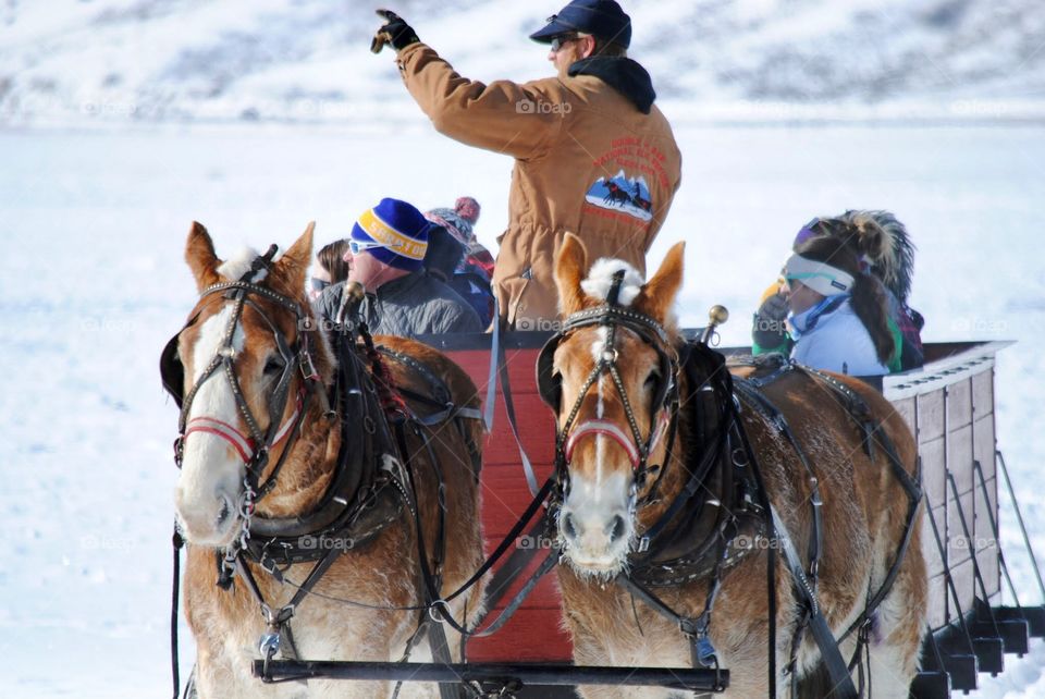 Can I Direct Your Attention Over to my Left?