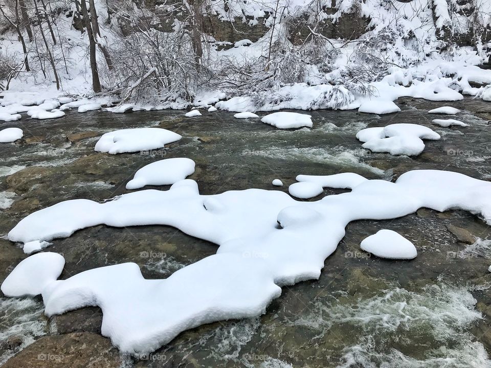 Ellicott creek