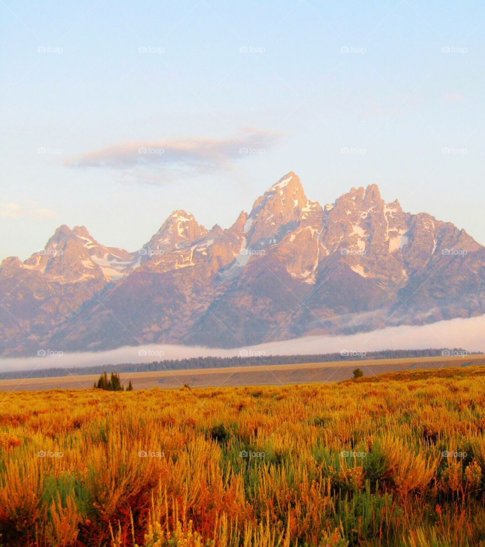Early morning in the Grand Tetons in Wyoming just as the fog was clearing.