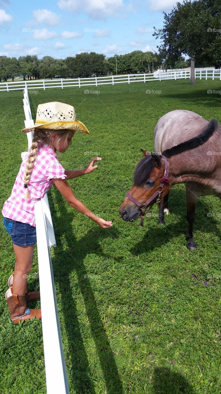 lil horse treat. daughter loves horses