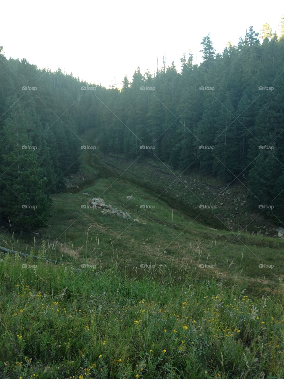 Bear canyon lake, az