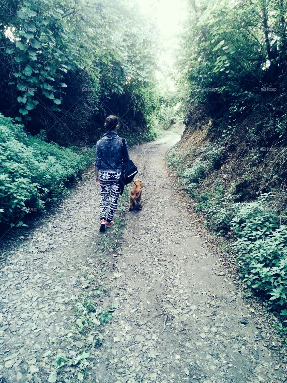 We love long walks through the woods.