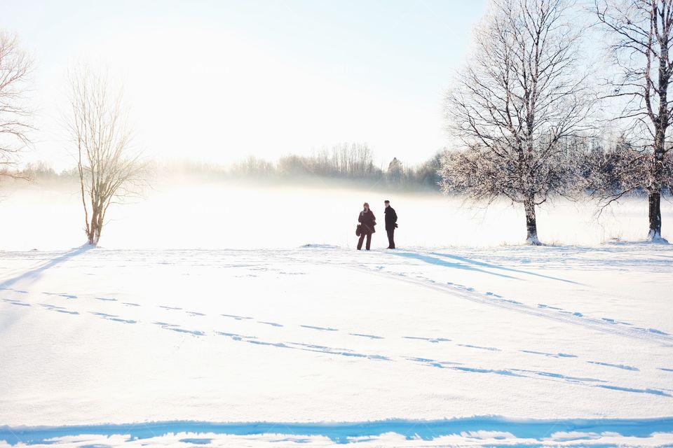 Winter, Snow, Cold, Frost, Ice