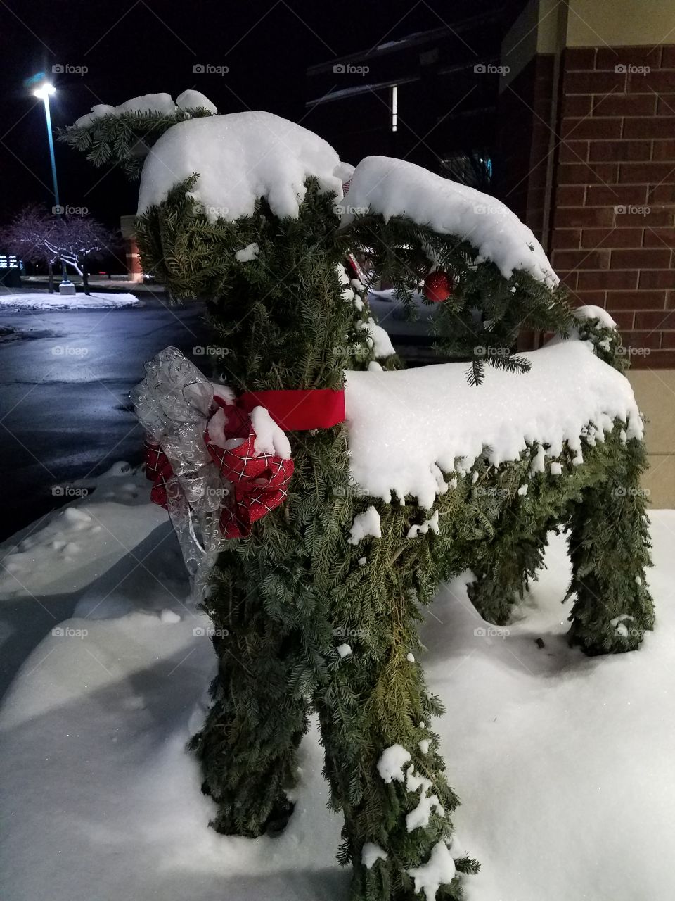 snow covered reindeer