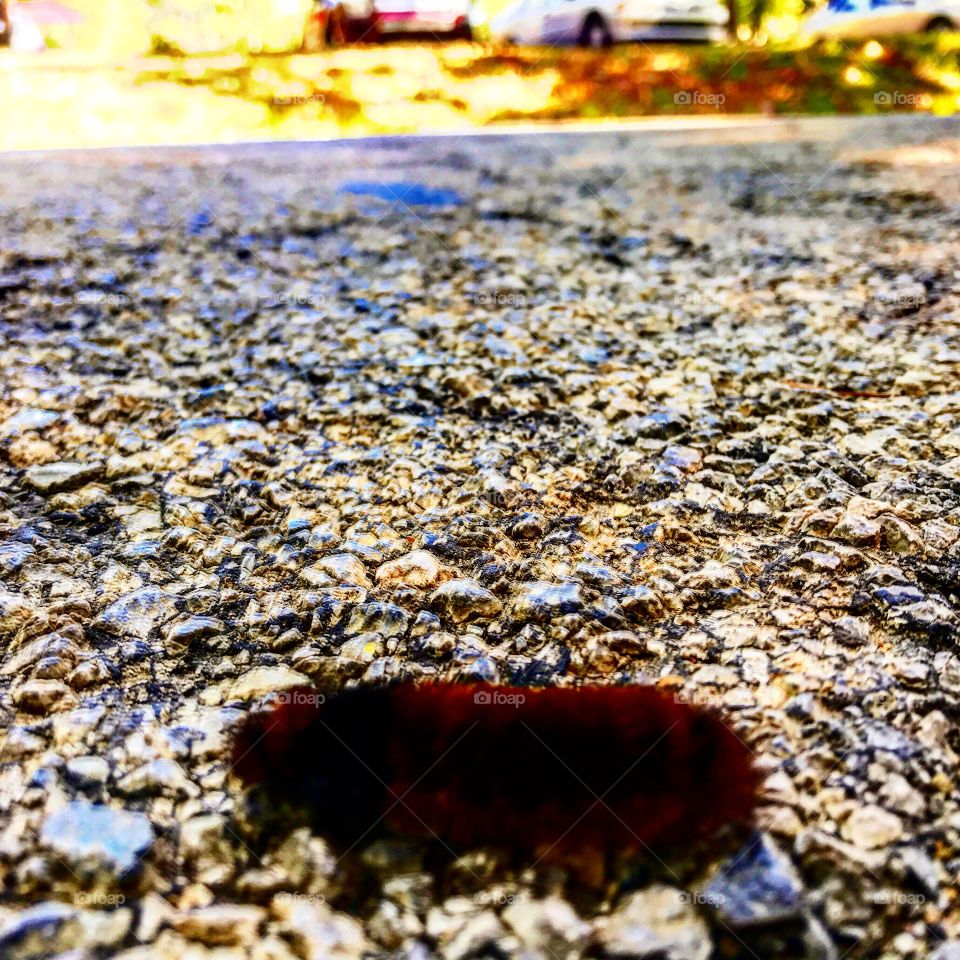 I am going as fast as I can