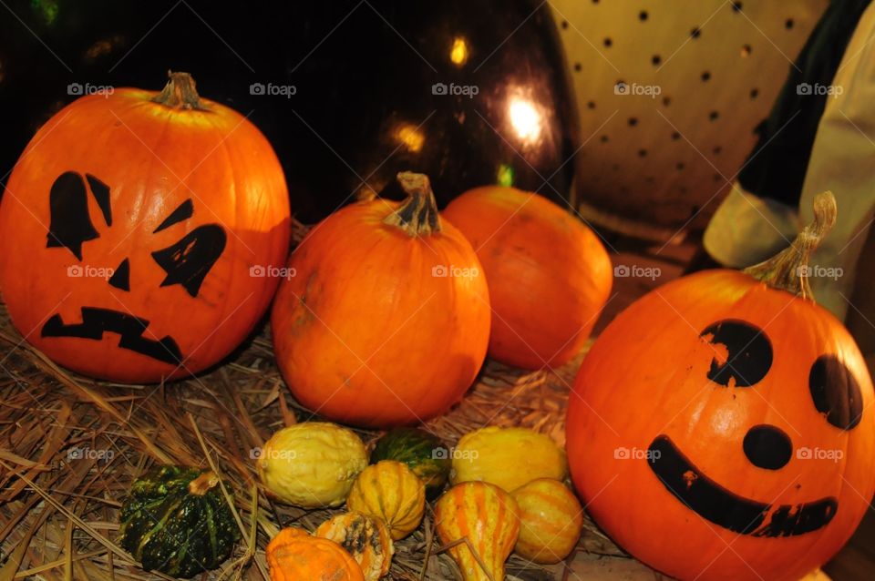 Pumpkins. Happy halloween!