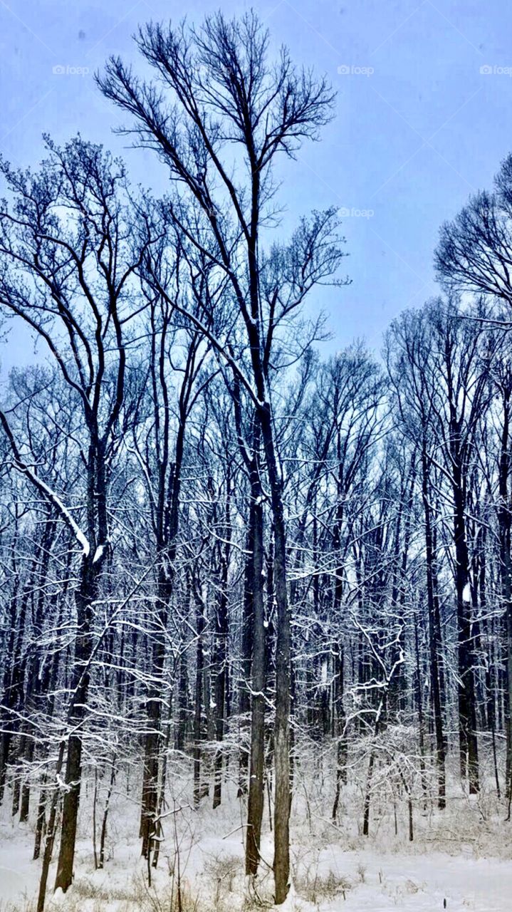 Winter is the season of recovery and preparation 