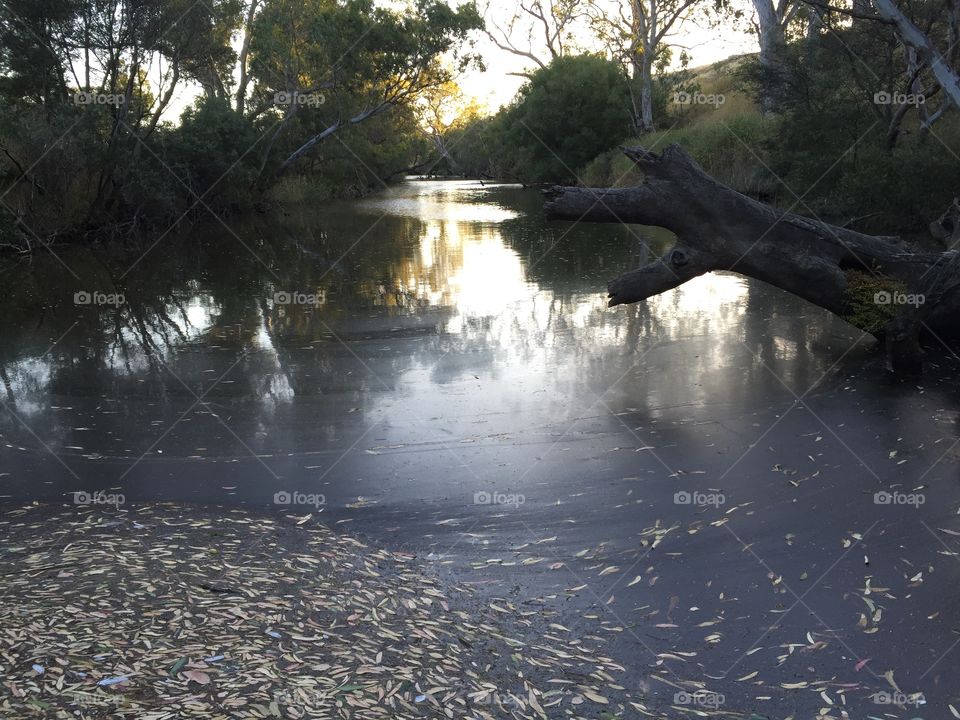 Sugarloaf Creek. Sugarloaf Creek Australia