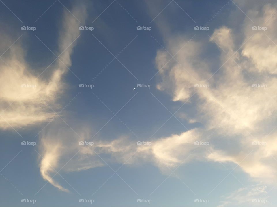 Please, I want you to support me, I need your help, I am poor, I need dollars, please