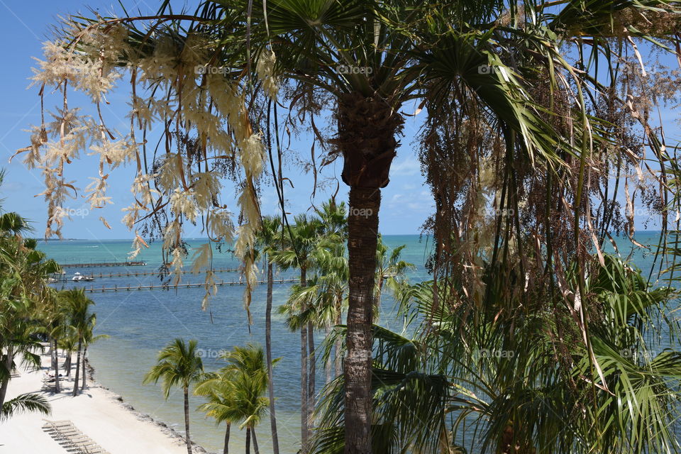 View from the Cheeca Lodge 