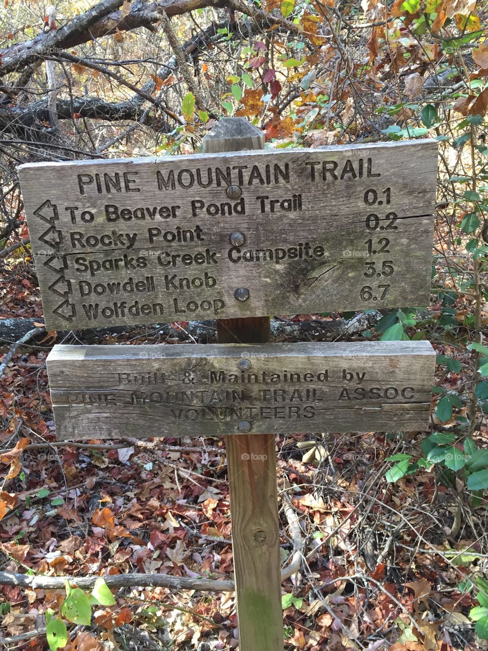 Old wooden trail sign with directions and what miles are to each destination, placed in the woods at a National Park in Georgia.