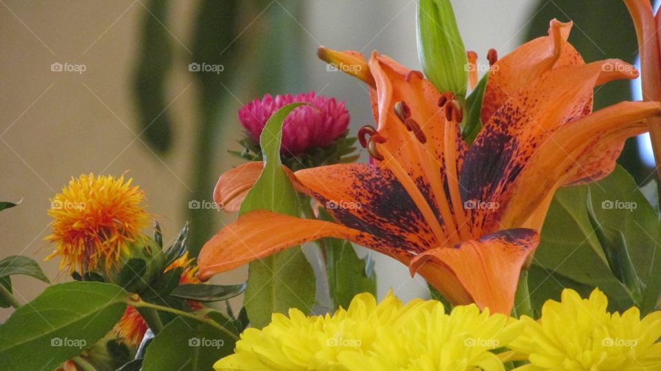 Flower Bouquet with Bright Beautiful Colors