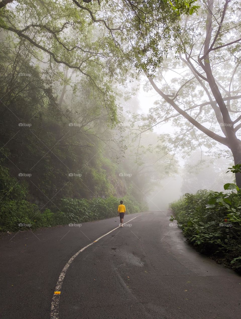 foggy morning