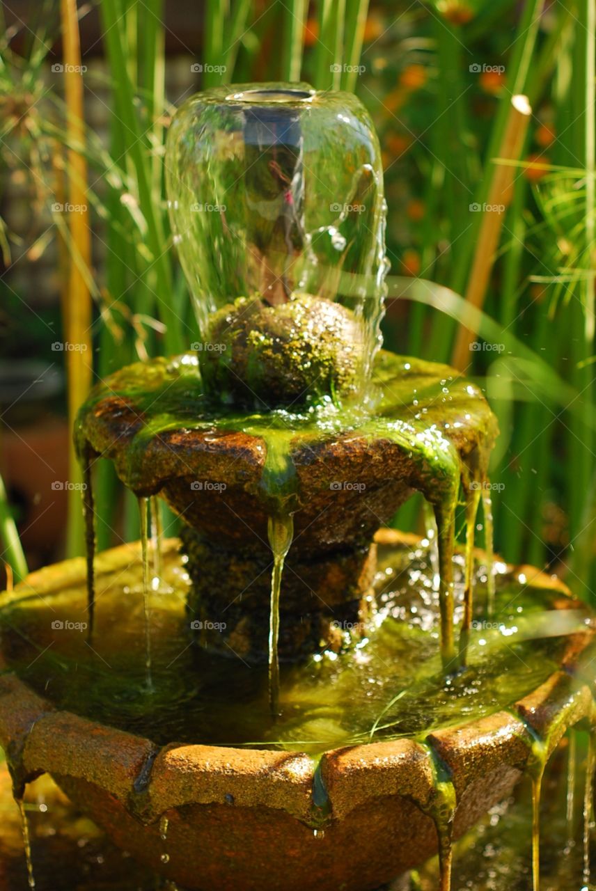 Garden fountain