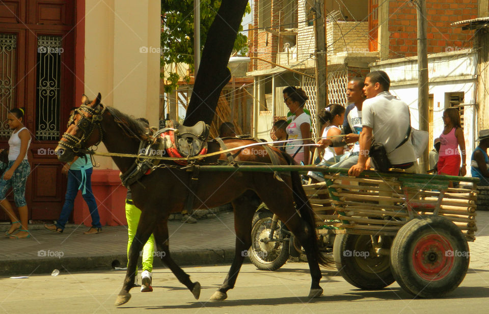 Cheap mode of transportation . Horse and Coche in Santiago de Cuba is an efficient and cheap mode of transportation. We used this method many times.