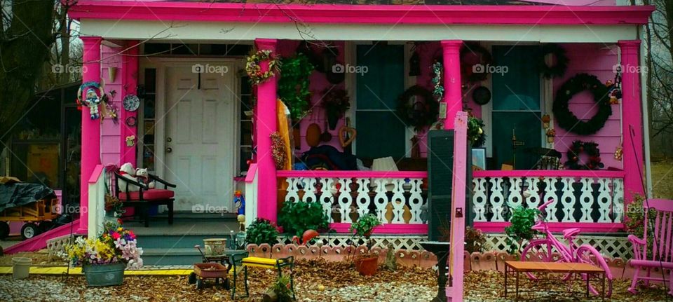 House, Architecture, Door, Flower, Window