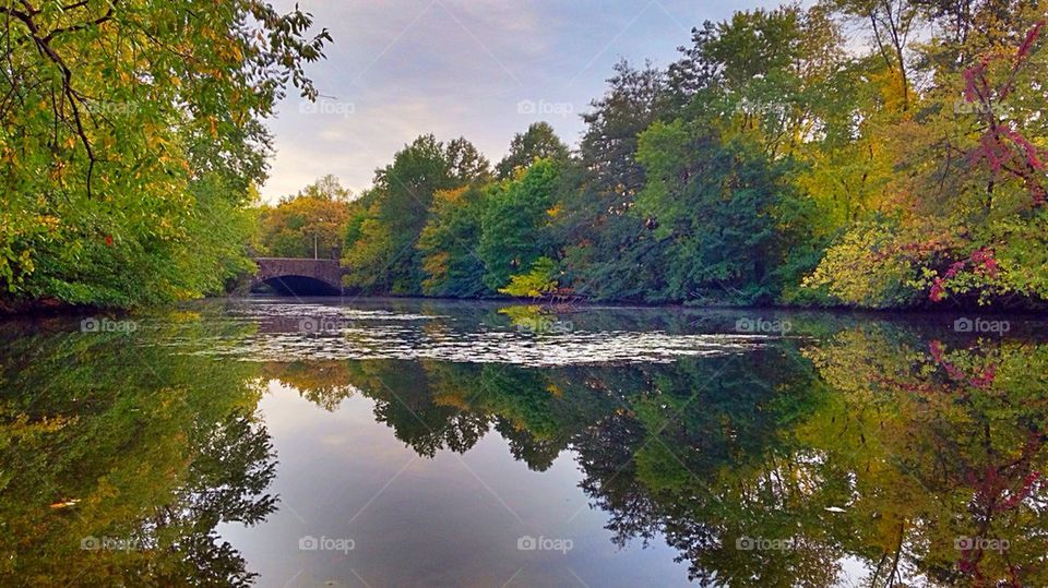 Fall reflections 