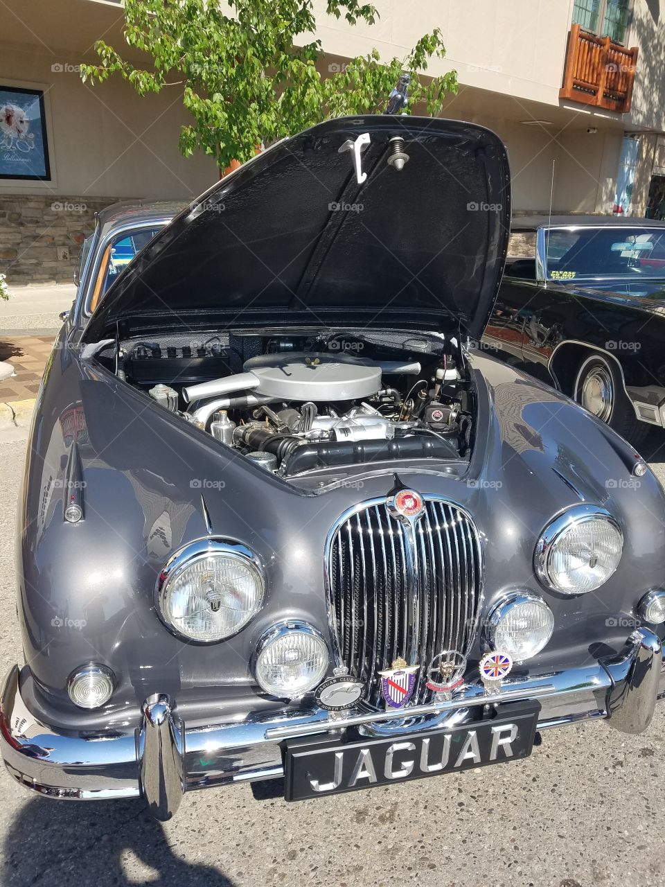 look at this Jaguar