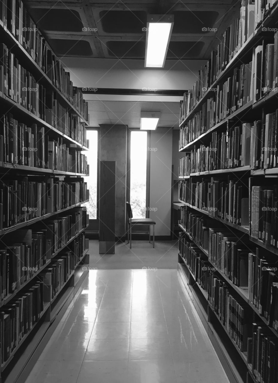 Quiet study at the library 