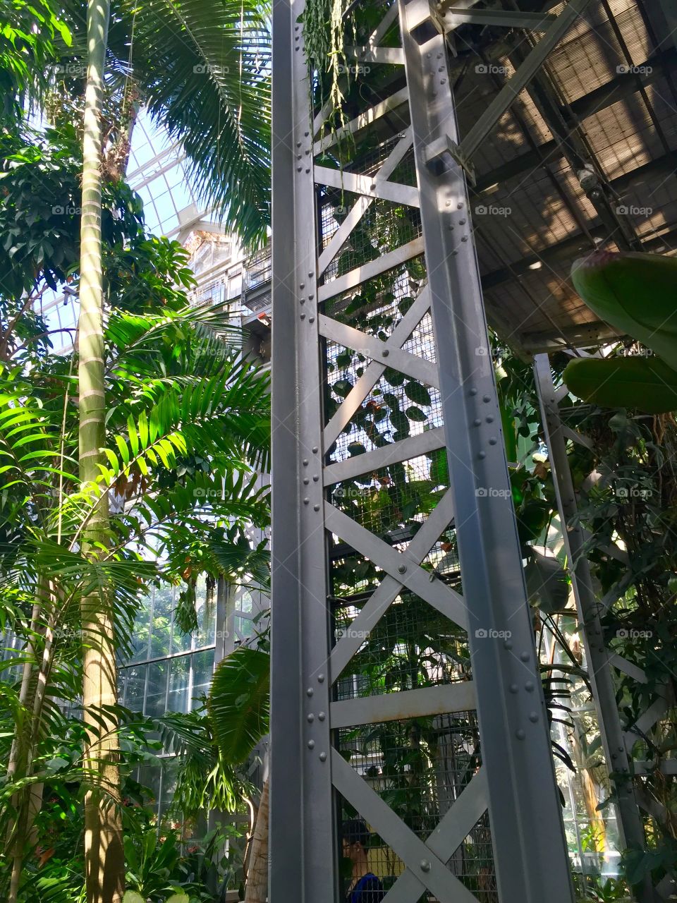 Elevator at national botanic gardens 