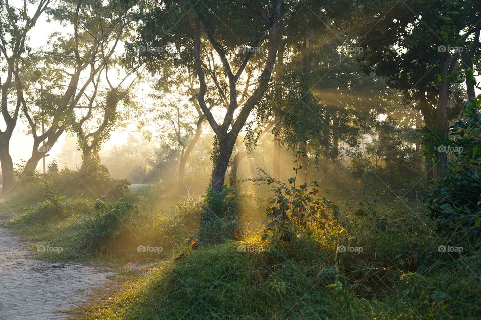 Sunrise at 630am in the deep forests of Lumbini, Nepal.
